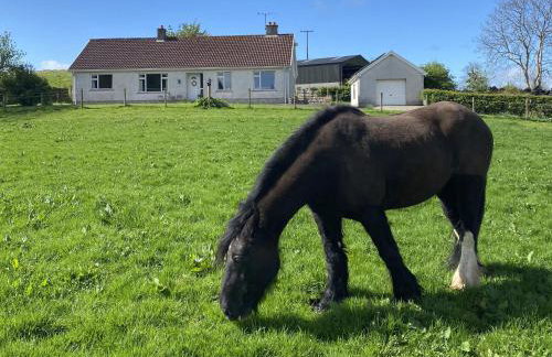 Betty's Farm Cottage - Foto 67