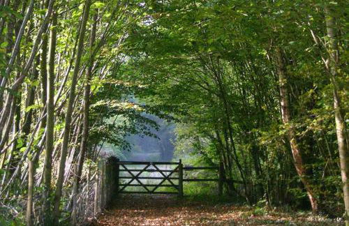 The Charcoal Hut woodland retreat - Foto 19