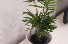 Dimora Mariflor - Foto 13