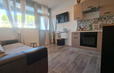 Appartement en RDC climatisé avec terrasse ombragée et privative - Foto 1