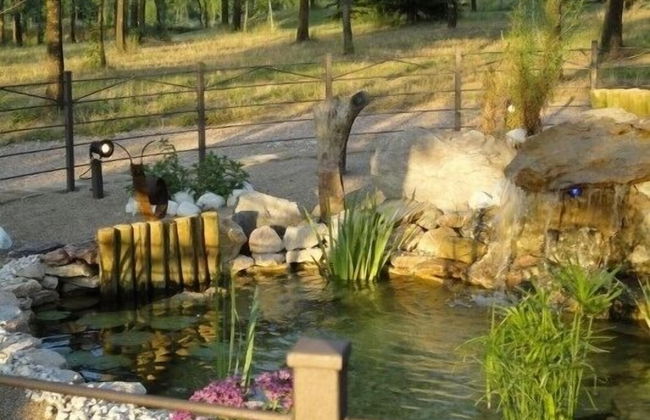 La Collina dei Ciliegi - Foto 72