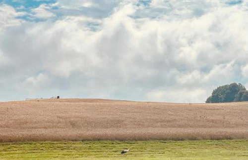 Ferienhaus in Polen- an den kaschubischen Seen - Foto 36