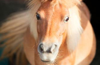 Agriturismo La Casa Di Rodo - Foto 29