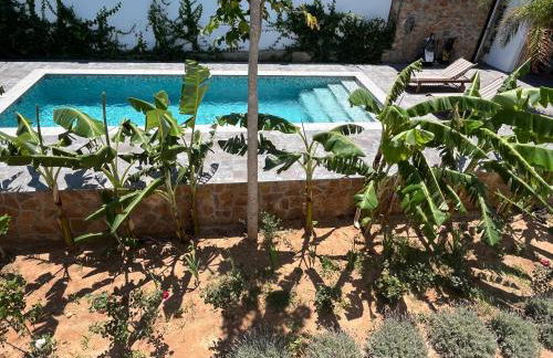 Villa Levinor - Photo 7