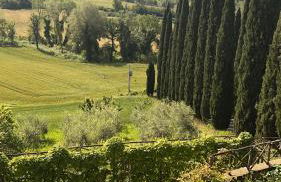 Country house Il Poggio - Foto 33