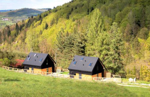 Projekt ŚWIT - domki z prywatną jacuzzi i sauną - Foto 48