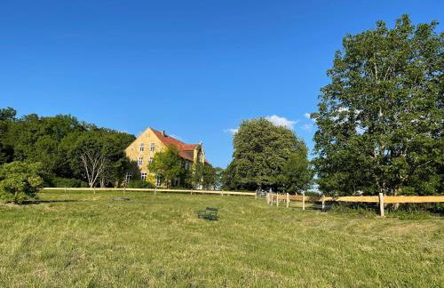 Naturnahes, neu möbl.Apartment, hundefreundlich - Foto 10