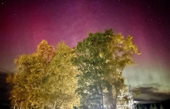 Bonne Bay Cottages - Photo 73