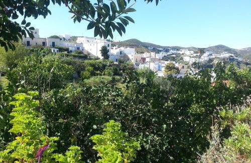 Casa Acqua Marina Ponza - Foto 21