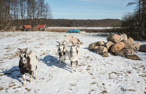 SEEZIEGE Uckermark - Ferienwohnungen am Carwitzer See - Foto 80
