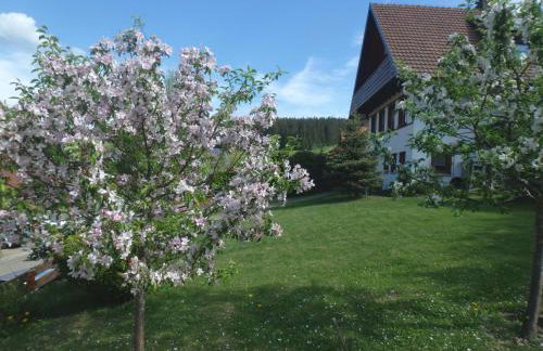 Haus Fehrenbach - Foto 12