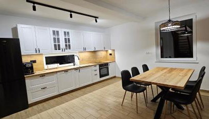 Leśna Przystań Bory Tucholskie - Foto 4, stove, pet friendly, minibar