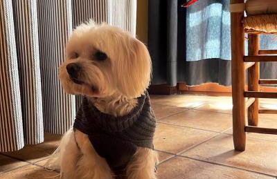 apartamentos turisticos san juan de la peña - Foto 2