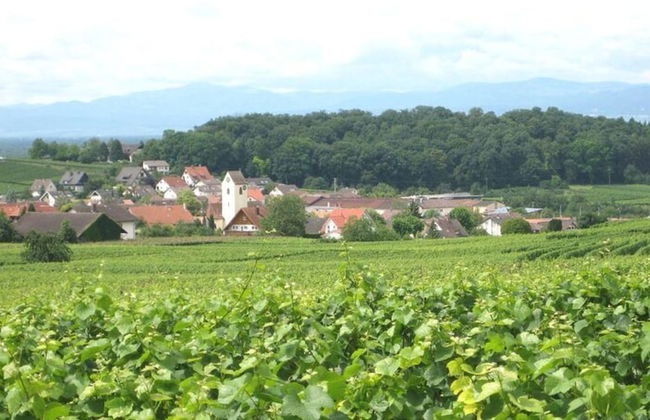 Ferienwohnung in Bischoffingen - Foto 24