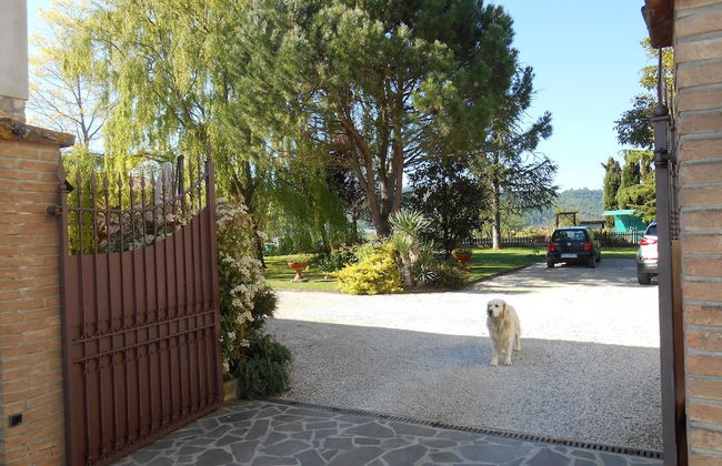 Agriturismo Podere Casenove - Photo 70