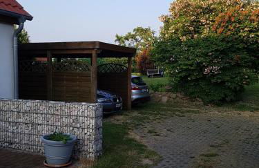 Seesternchen - Foto 11