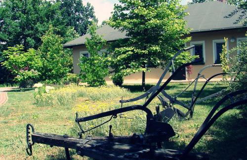 Agroturystyka Pod Modrzewiami - Foto 61