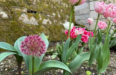 Nouveau I Studio Green I Cour intérieure & Vue imprenable - Foto 7