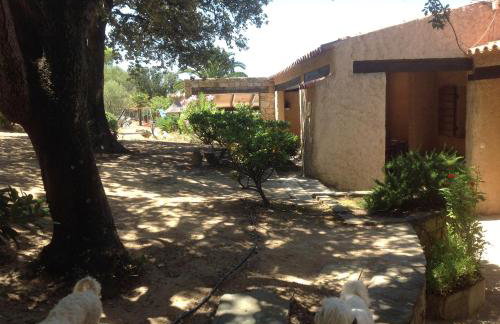 Villa A Scopa à Lumio en Corse avec piscine chauffée, vue mer panoramique, climatisation, jardin arboré de 3000m2, 10 pers, 5 Chb, 4 Sdb - Foto 54