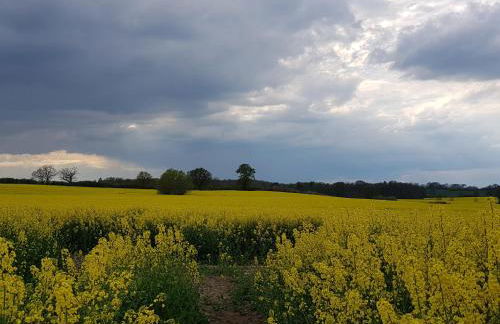 Ferienwohnung in Ostseenähe - Foto 23