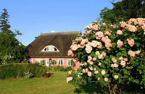 Im Feriengarten - Ferienwohnung EG - Foto 9