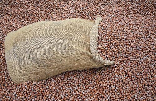 Agriturismo Cascina Barin - Foto 15