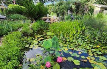 Sleeps 12! Main Level Primary Suite-Beautiful Backyard Oasis - Photo 20