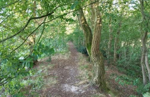 Gemütliches Ferienhaus Lütje Huske mit Garten, 25666 - Foto 15