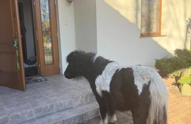 Zacisze Jurajskie - Foto 42