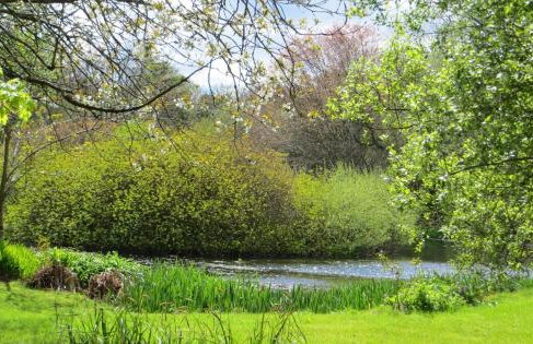 Polgwedhen Lodge - Photo 26