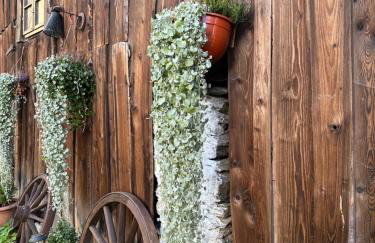 Dom Pod Dębem Agroturystyka - Foto 18