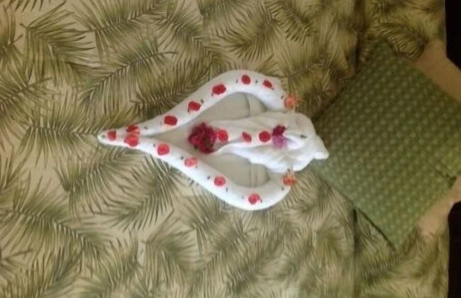 Milbrooks Villa and Retreat - Foto 15