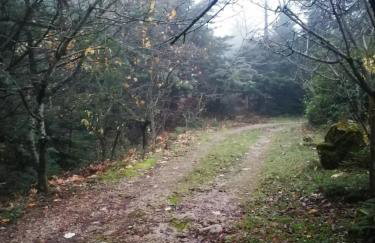 Dandy Villas Agoriani - Chalet Iris- Fireplace - Up to 6 - Foto 31