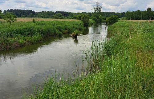 Domek wycieczkowy - Foto 32