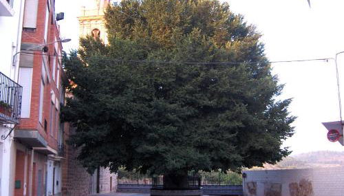 Apartamentos Rurales San Juan - Foto 5