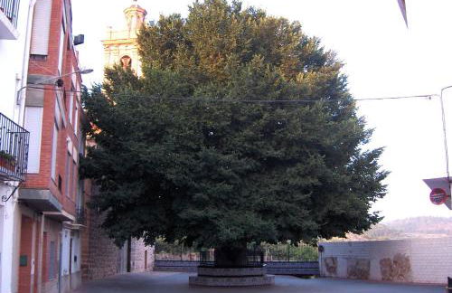 Apartamentos Rurales San Juan - Foto 5