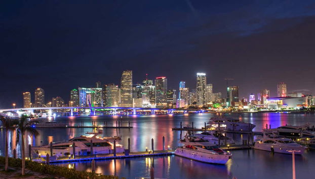 Bus touristique de Miami - Photo 5