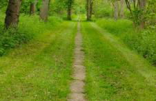 Fishtail House - Stylish Apartments minutes from the sea - Foto 31