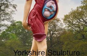 Four bed barn conversion Junction 37 38 M1 - Foto 38