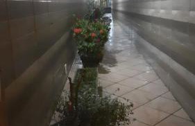 Apê confortável, com Alexa. Ótima localização - Foto 58