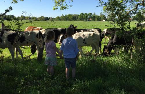 Haus Kornfeld - Foto 22