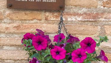 LA CONCHIGLIA - Sirolo Suite - Foto 3