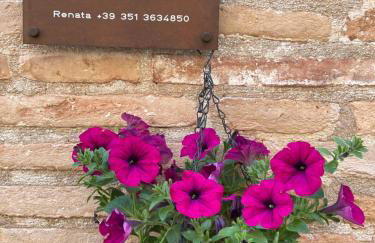 LA CONCHIGLIA - Sirolo Suite - Foto 3