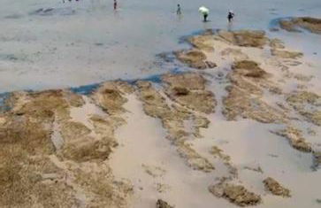 Flat Forte Orange - Ilha de Itamaracá - Foto 13