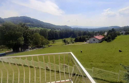 Baranie Wzgórze Ustroń Basen Sauna Plac Zabaw - Foto 33