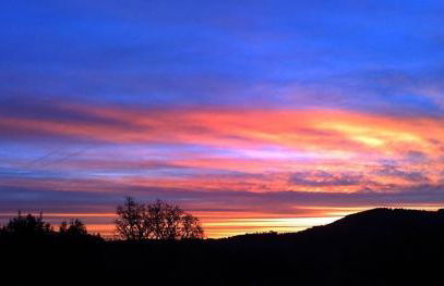 Flor da Ramila - Foto 13