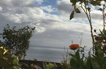 Sunflower Guest House - Madalena - Pico - Photo 9