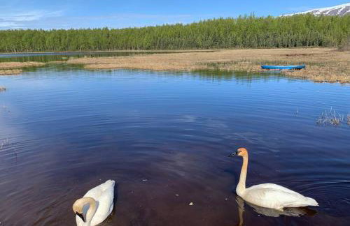 Hatcher Pass Lakeside Hideaway with Hot Tub! - Foto 41