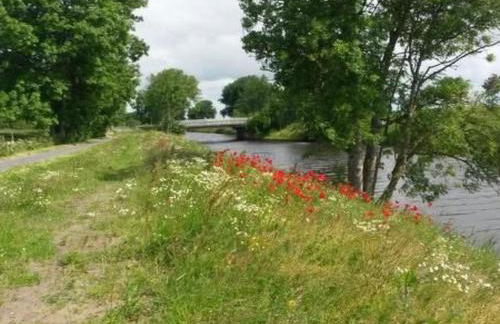 Apartment Altes Pastorenhus by Interhome - Foto 29