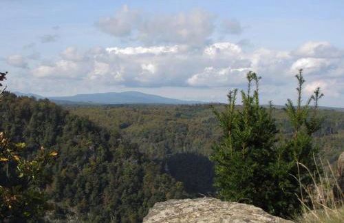 Ferienwohnung Christine - Foto 12